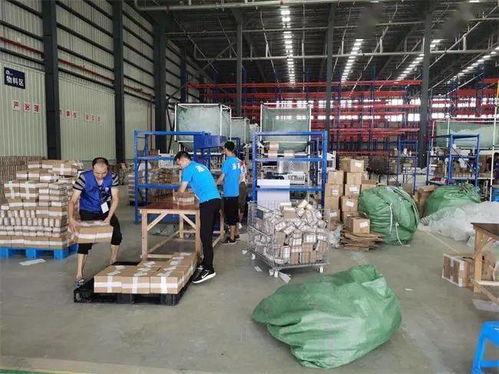 溫州開通跨境電商網購保稅進口業(yè)務 全球商品貿易港首日交易超2000單